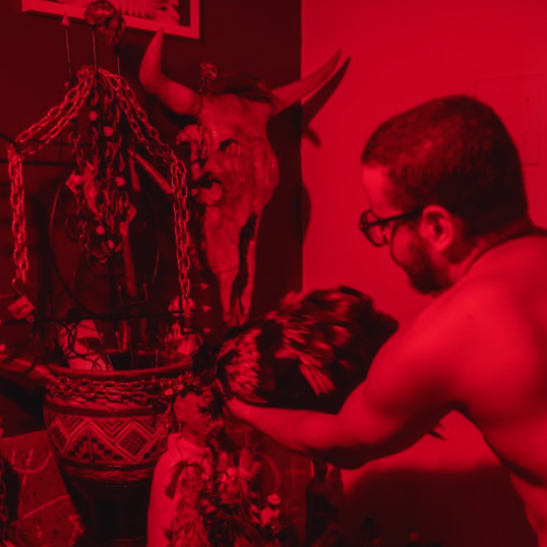 Consulta de Oráculo